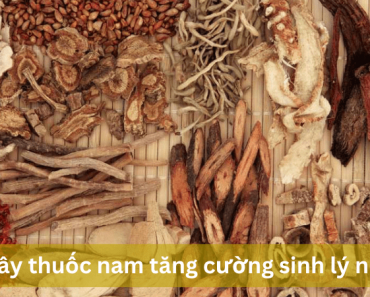 Những cây thuốc nam tăng cường sinh lý nữ hiệu quả